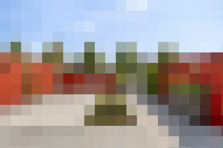 Vinkenhof 21 Middelburg thumbnail 30