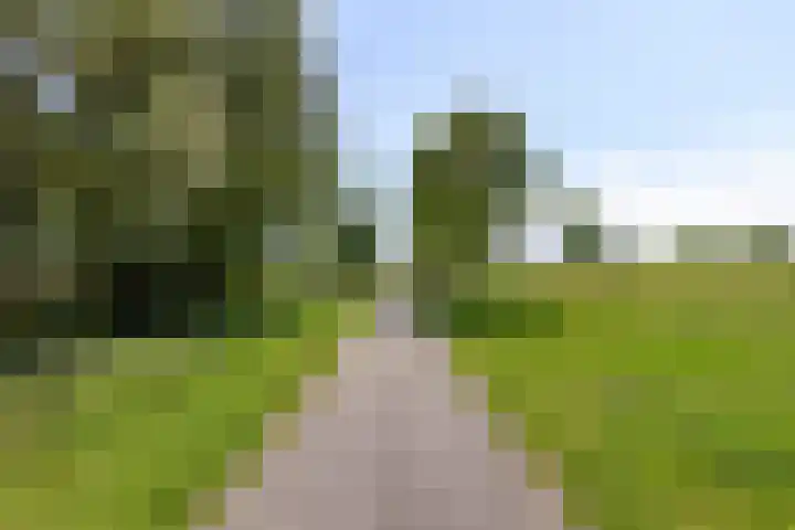 Vinkenhof 21 Middelburg thumbnail 38