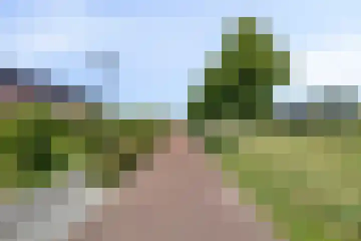Vinkenhof 21 Middelburg thumbnail 40