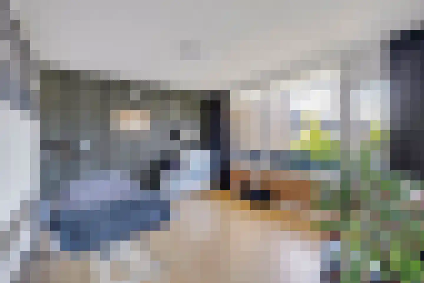 Vinkenhof 29 Rockanje thumbnail 21