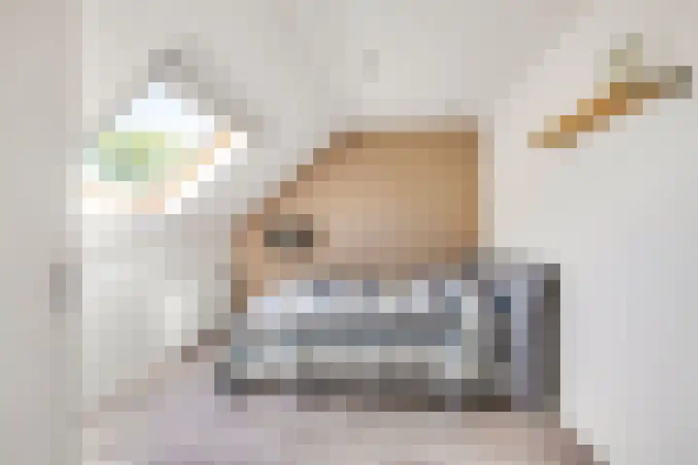 Vinkenhof 29 Rockanje thumbnail 27