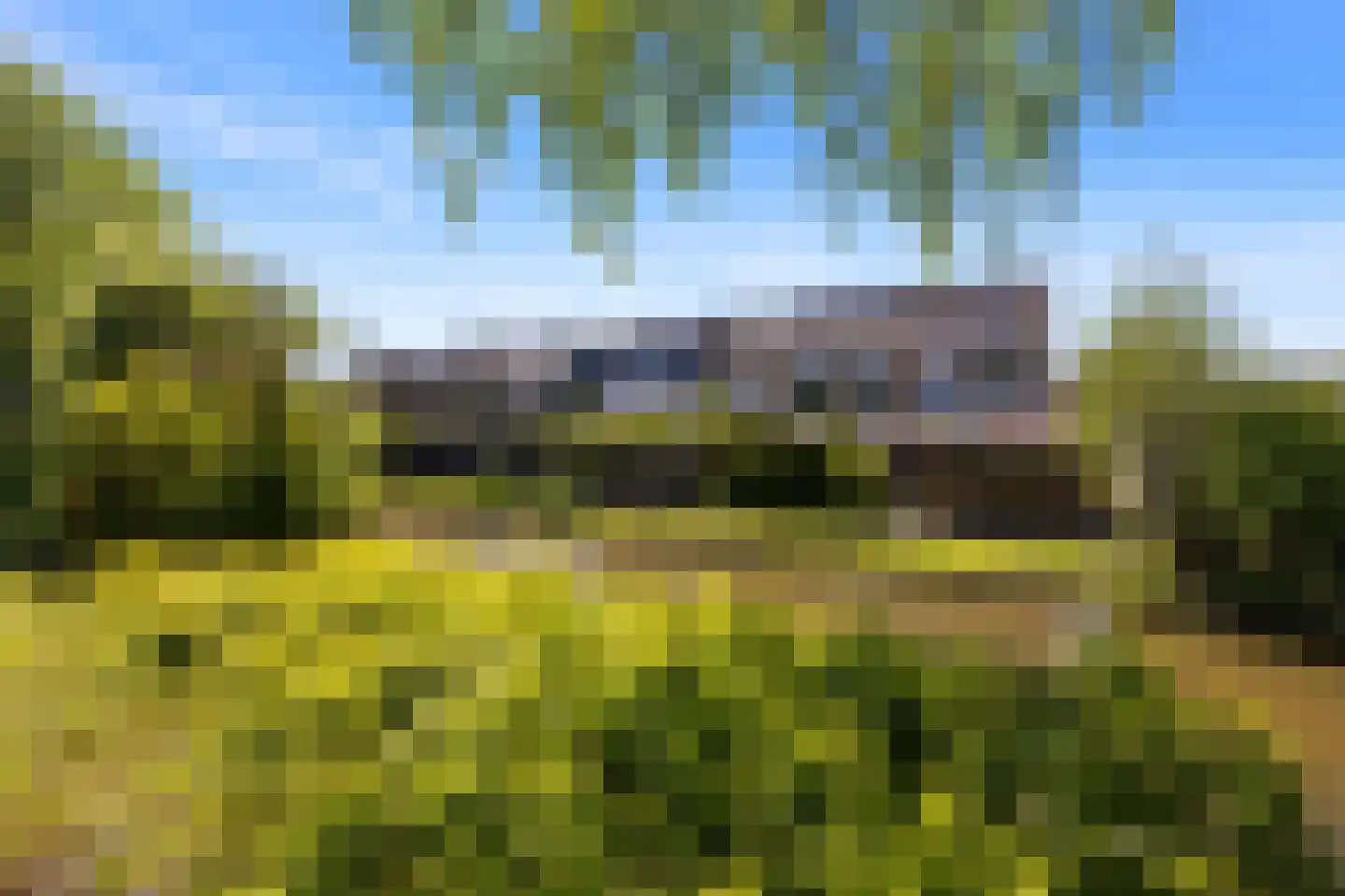Vinkenhof 29 Rockanje thumbnail 36