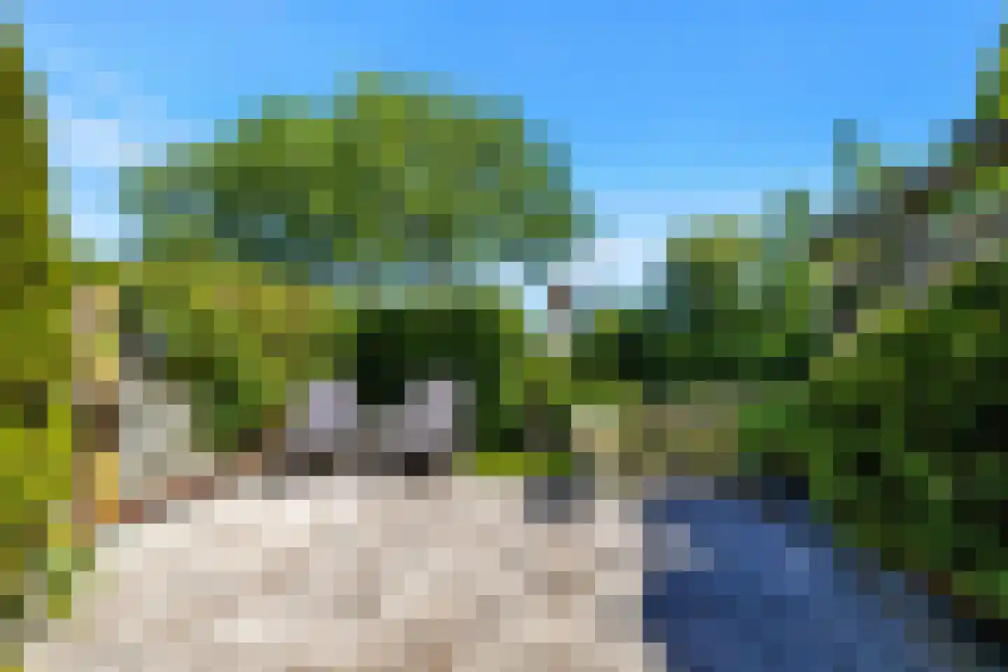 Vinkenhof 29 Rockanje thumbnail 5