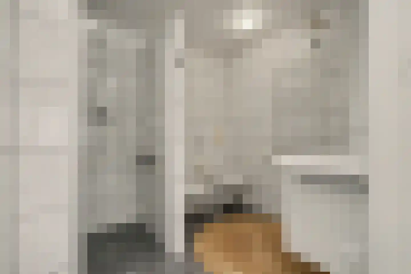 Vinkenissestraat 10 Rilland thumbnail 18