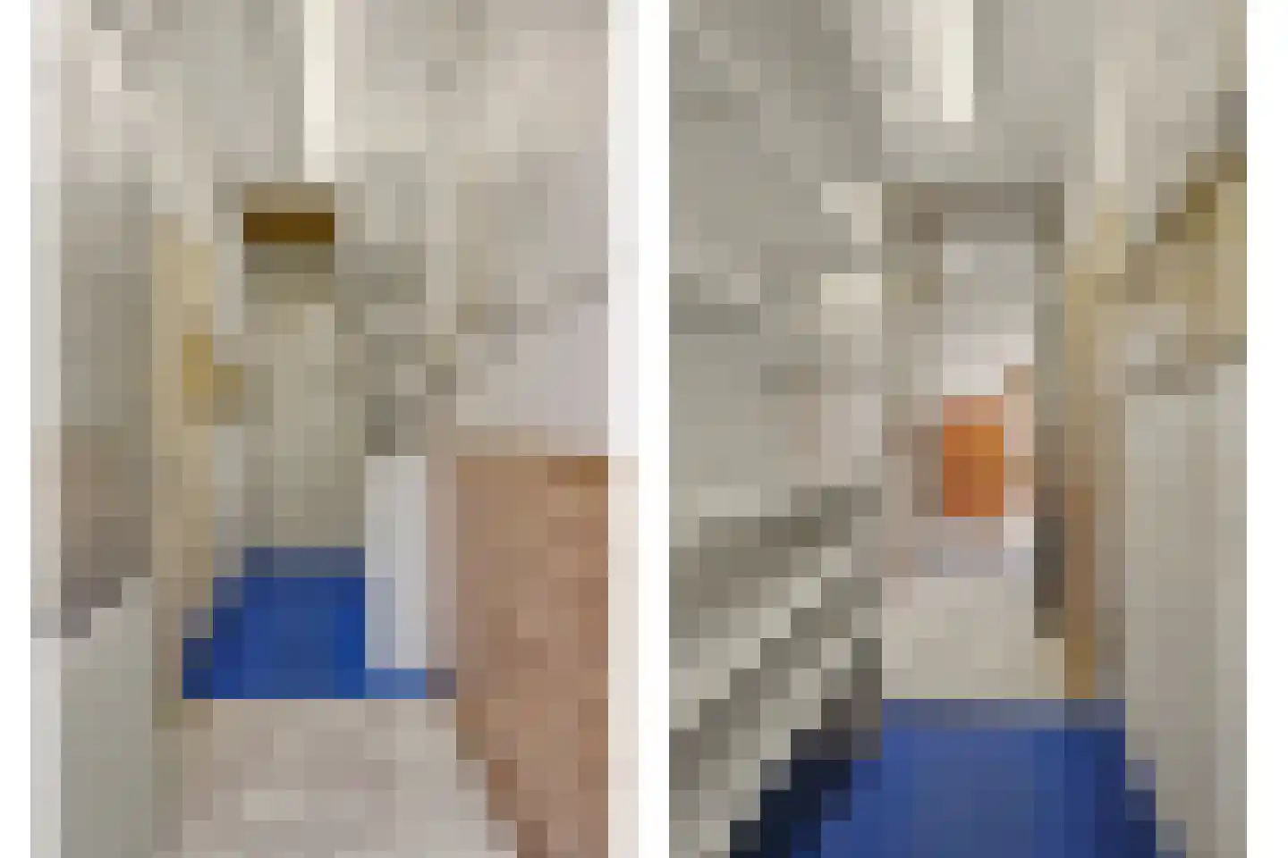 Vinkenissestraat 10 Rilland thumbnail 22