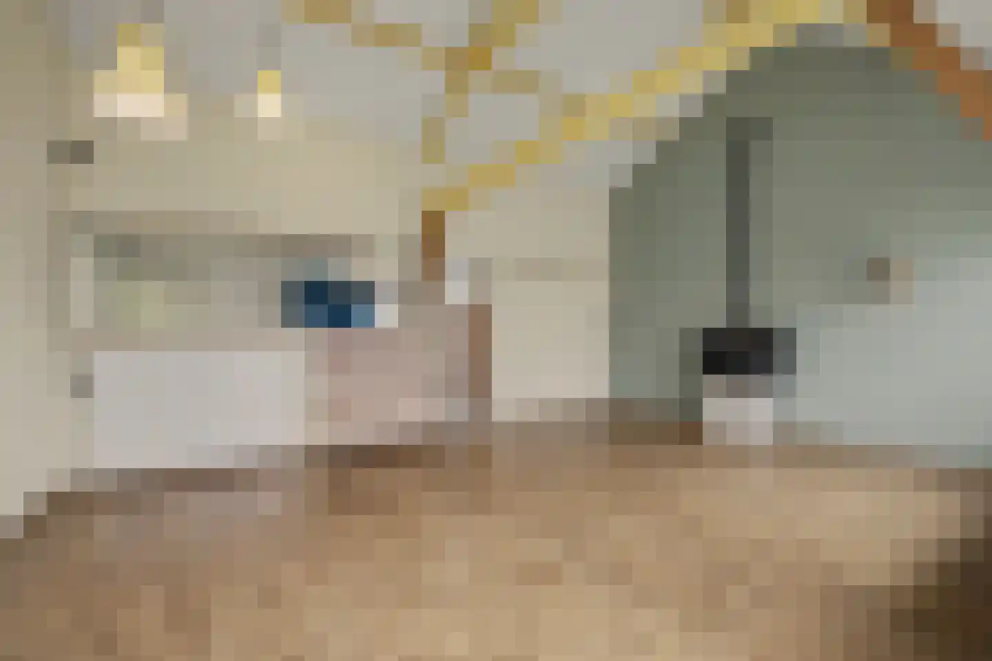 Vinkenissestraat 10 Rilland thumbnail 26