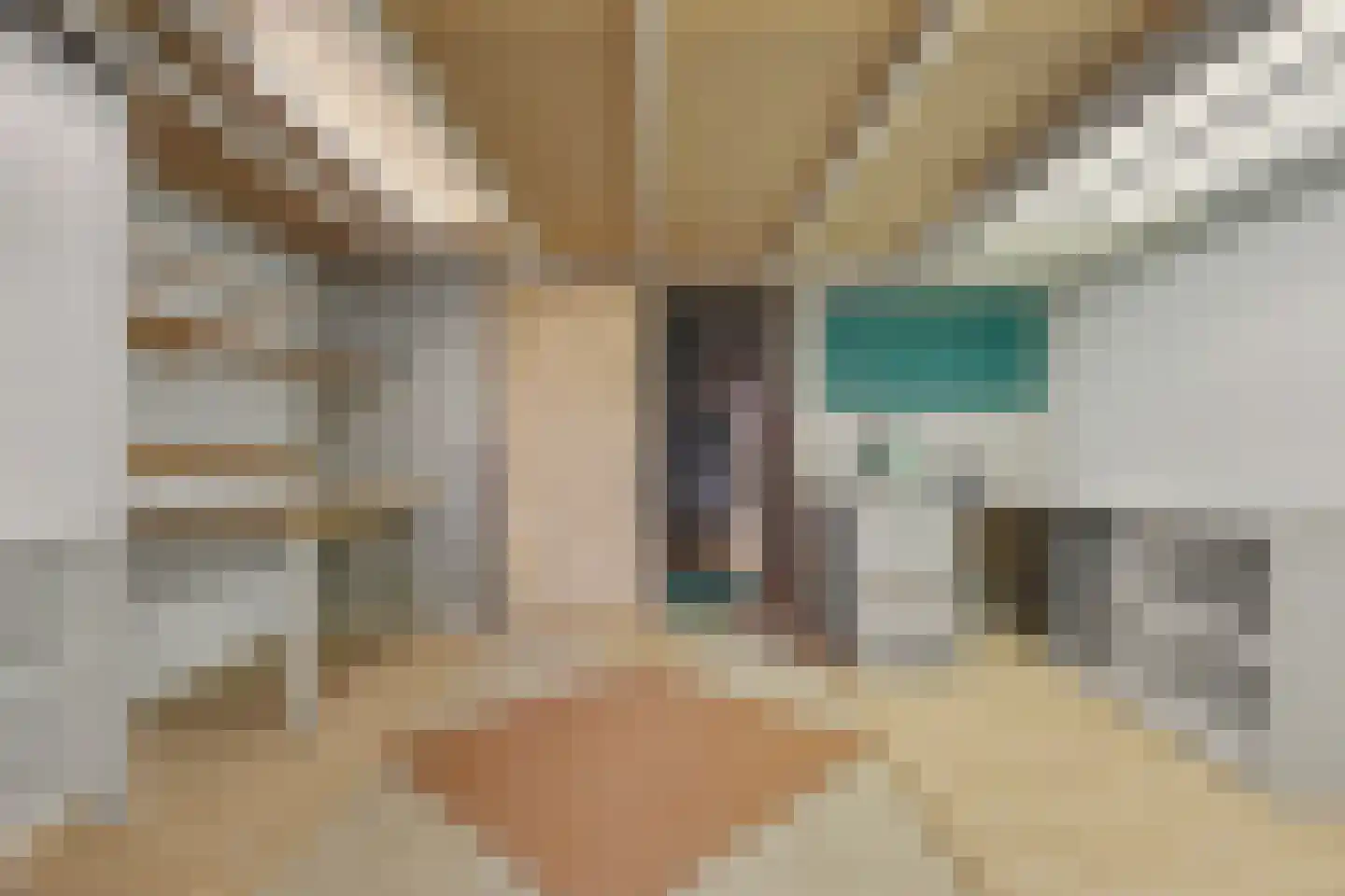 Vinkenissestraat 10 Rilland thumbnail 33