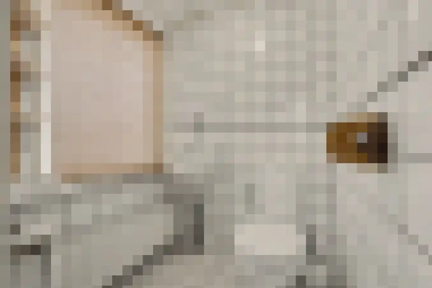 Vinkenissestraat 10 Rilland thumbnail 34