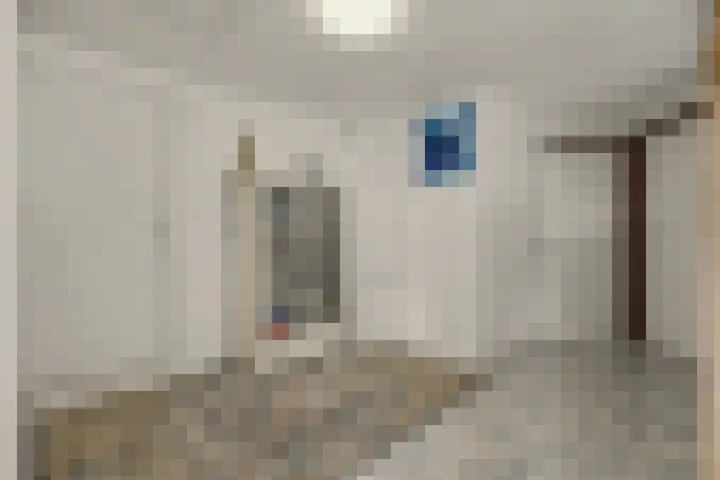 Vinkenissestraat 10 Rilland thumbnail 36