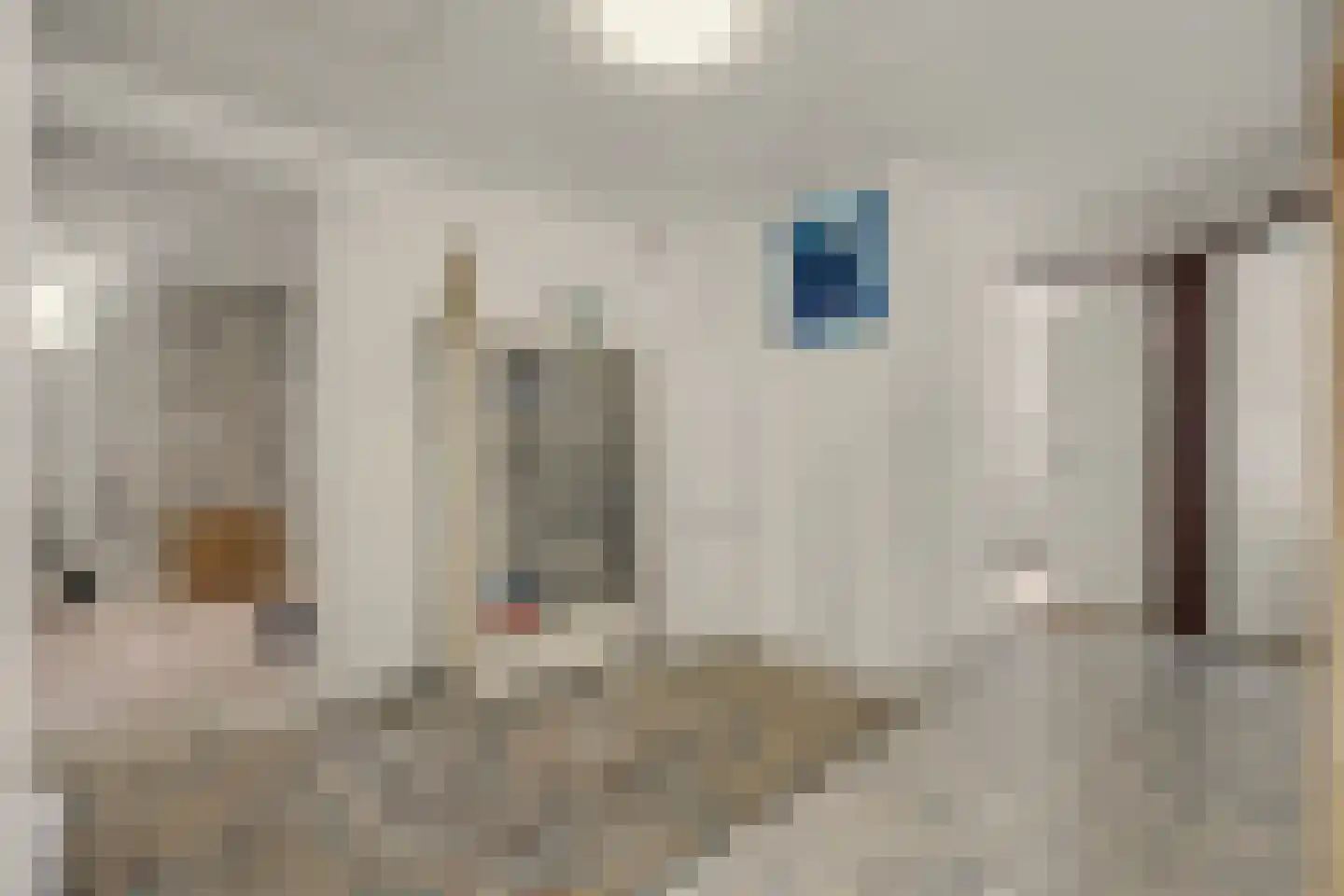 Vinkenissestraat 10 Rilland thumbnail 37