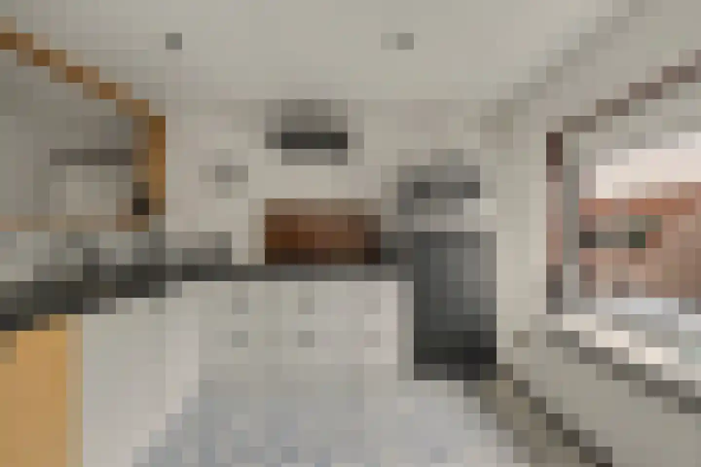 Vinkenissestraat 10 Rilland thumbnail 43