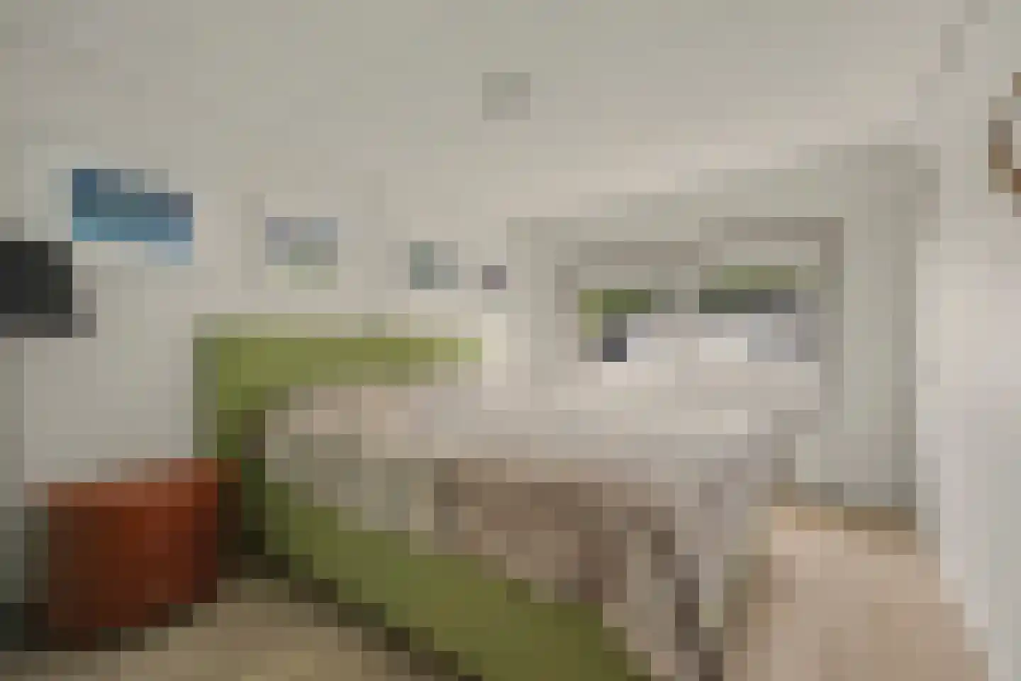 Vinkenissestraat 10 Rilland thumbnail 46