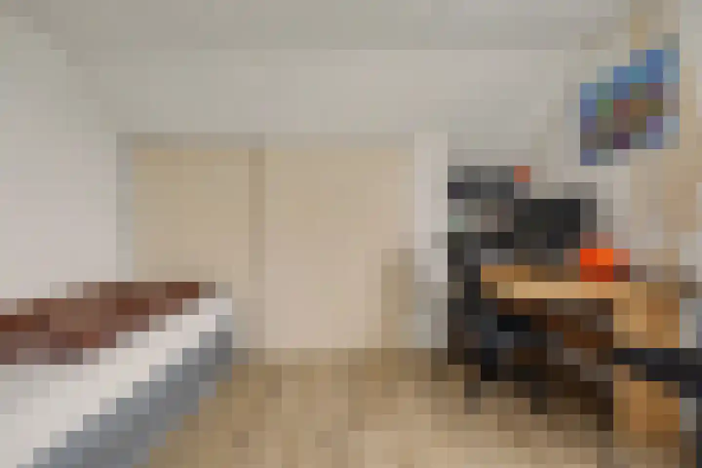 Vinkenissestraat 10 Rilland thumbnail 47