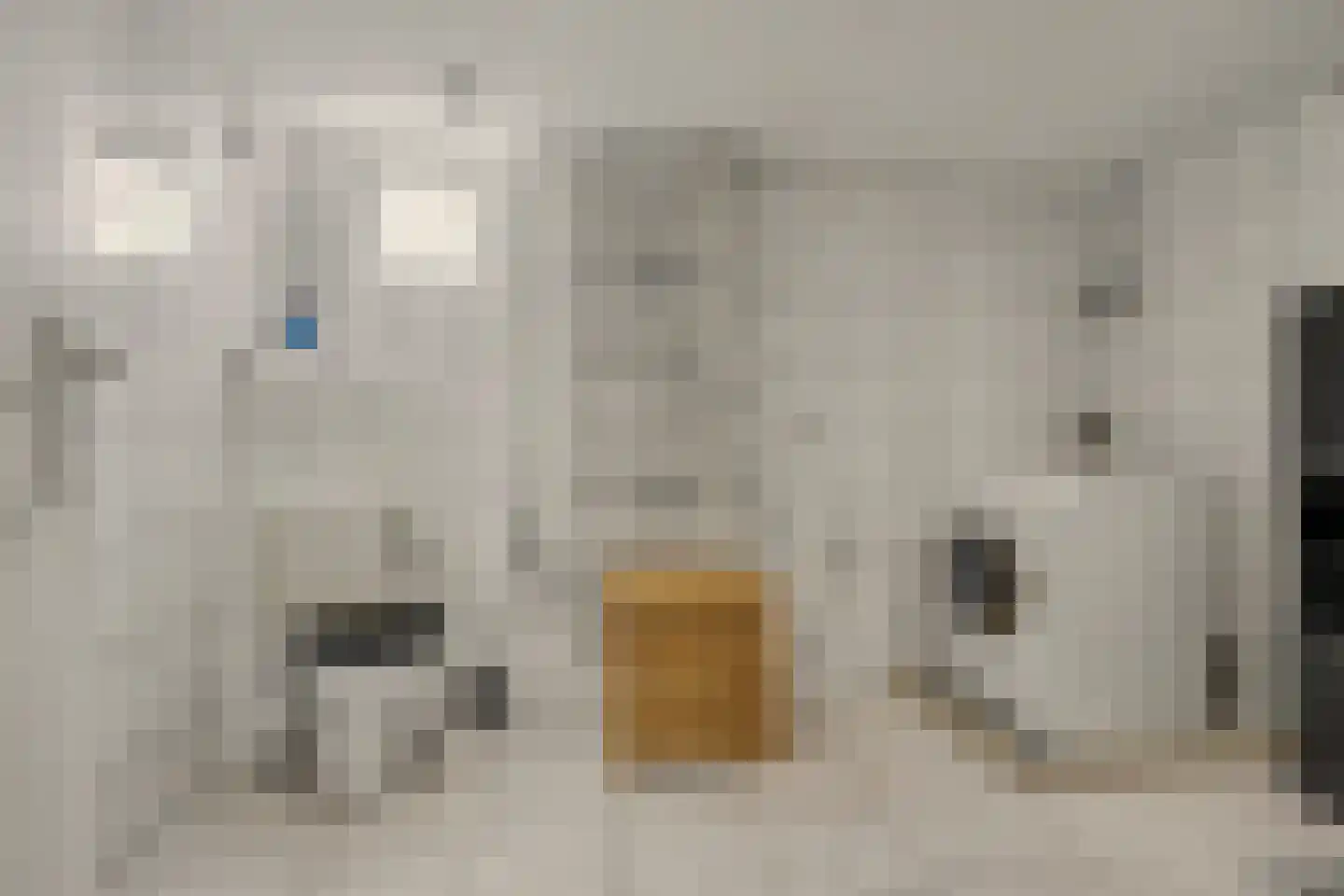 Vinkenissestraat 10 Rilland thumbnail 49