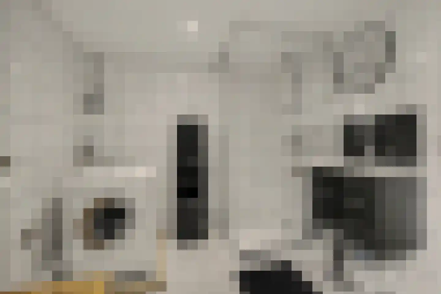 Vinkenissestraat 10 Rilland thumbnail 50