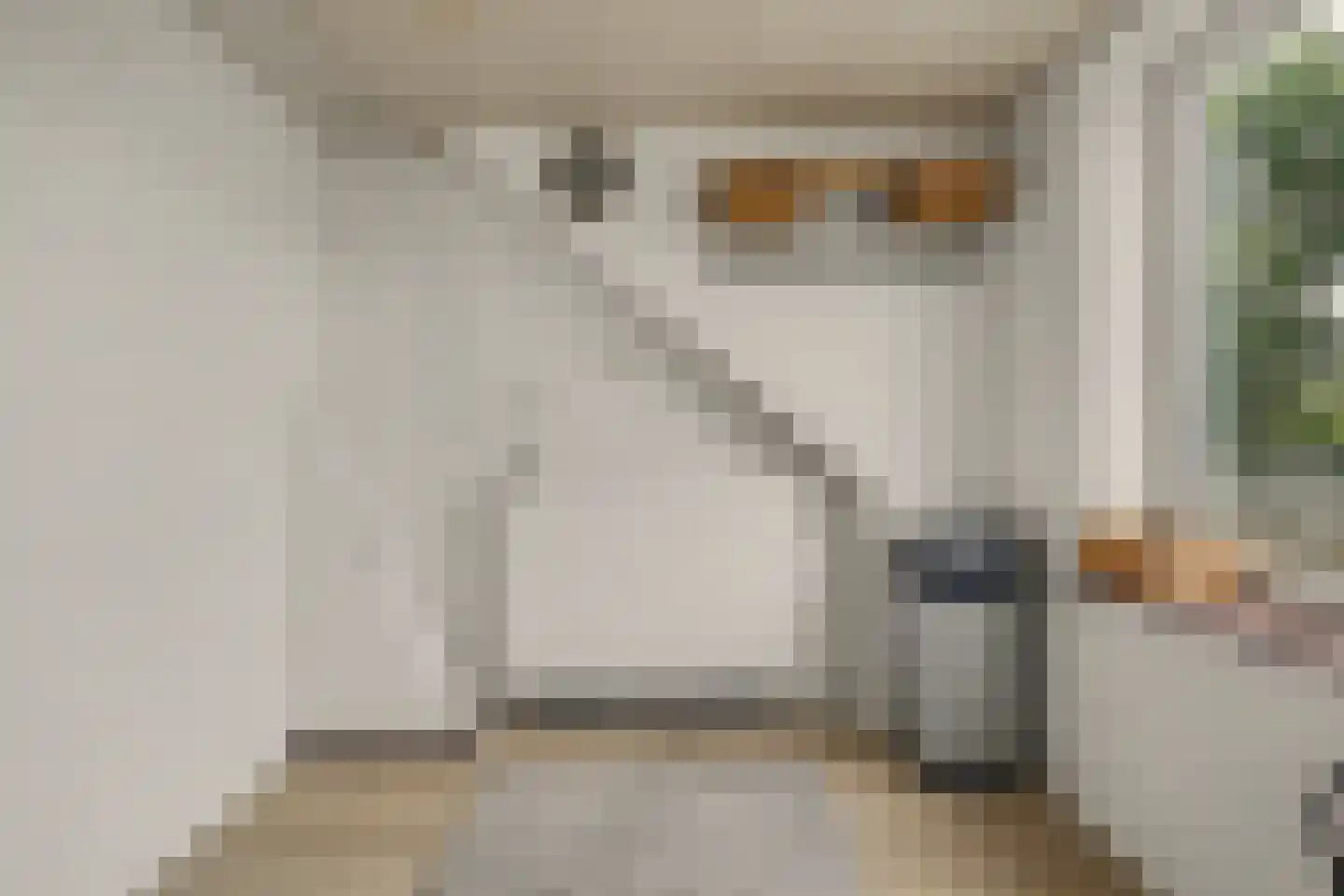Vinkenissestraat 10 Rilland thumbnail 51