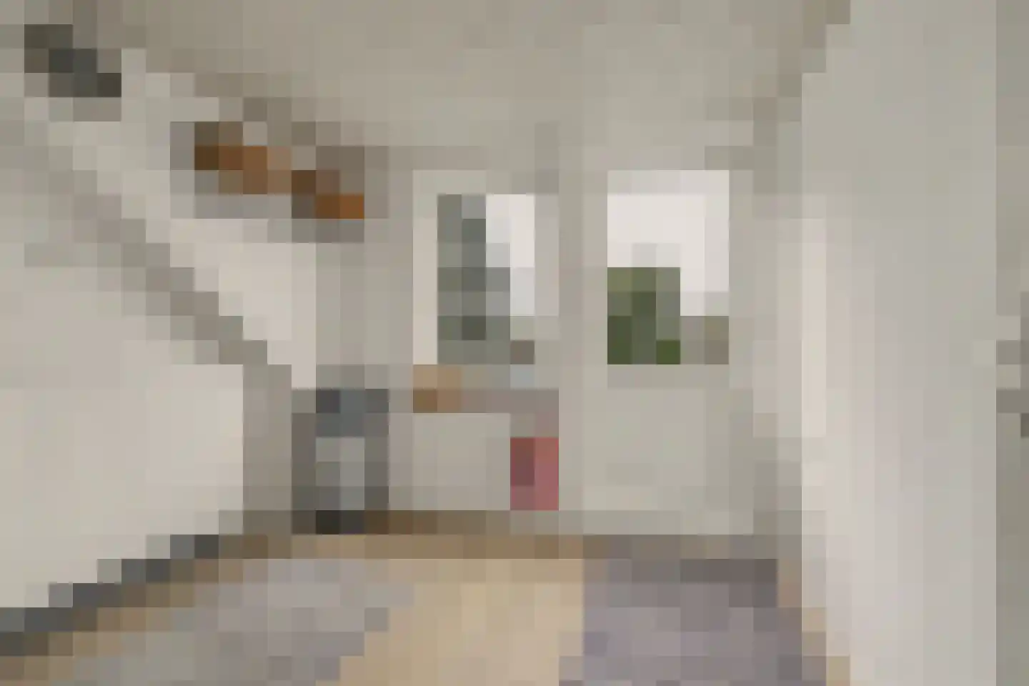 Vinkenissestraat 10 Rilland thumbnail 52