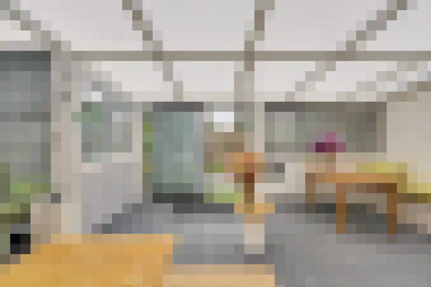 Vinkenissestraat 10 Rilland thumbnail 58