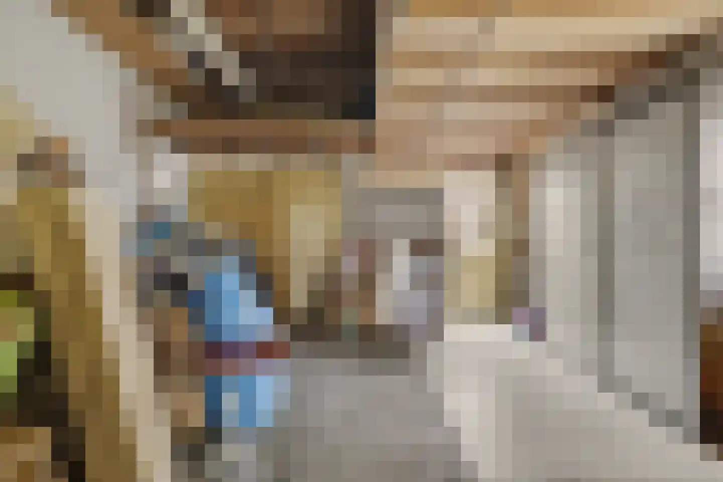 Vinkenissestraat 10 Rilland thumbnail 61