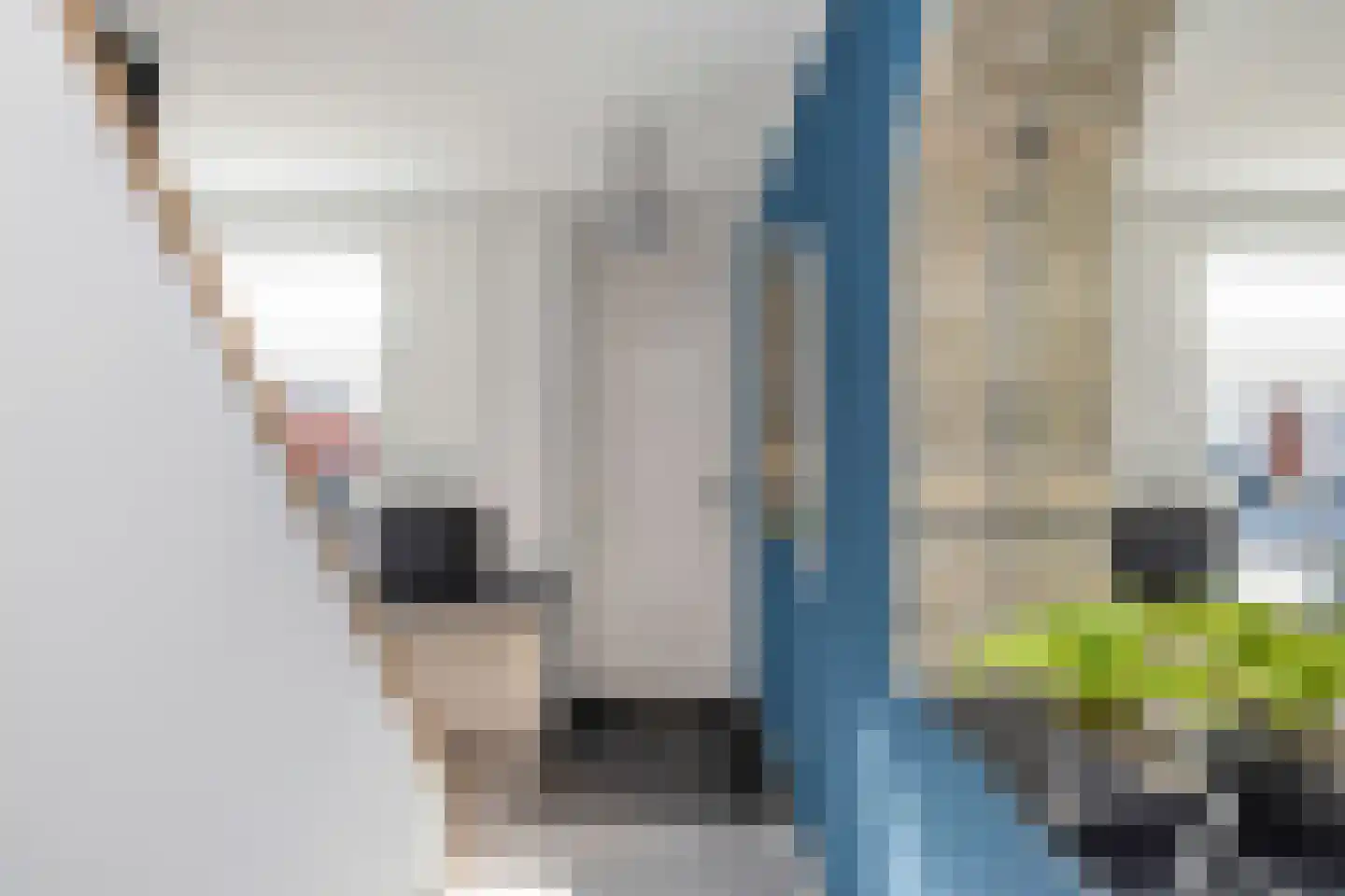Vinkenissestraat 11 Rilland thumbnail 13