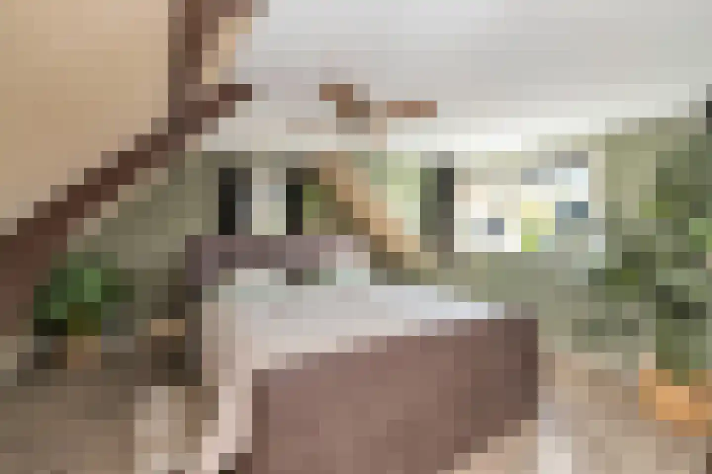 Vinkenissestraat 11 Rilland thumbnail 4