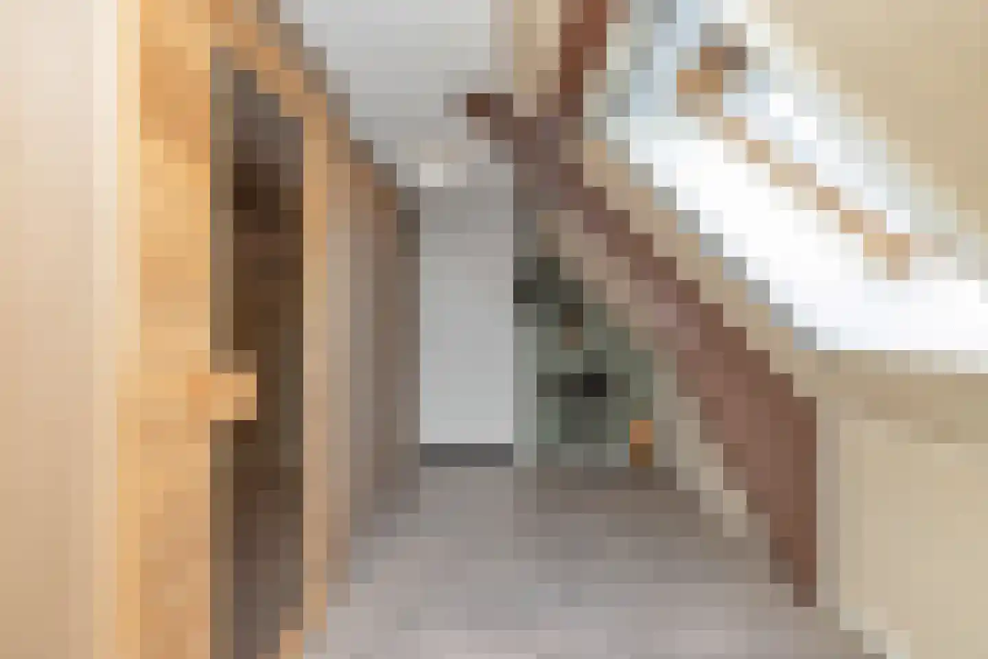Vinkenissestraat 11 Rilland thumbnail 51