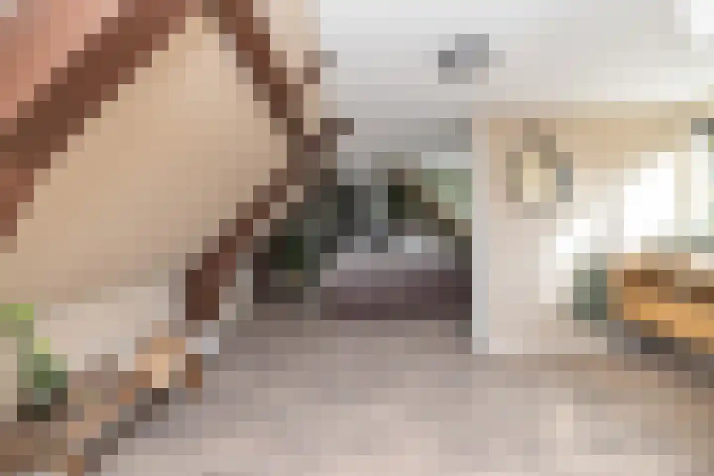 Vinkenissestraat 11 Rilland thumbnail 53