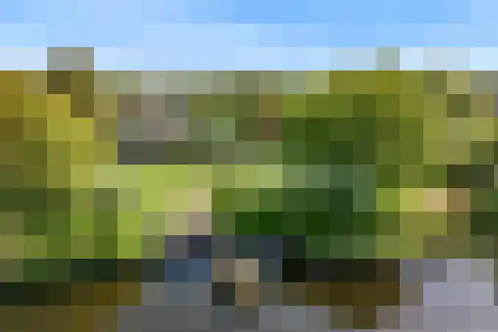 Vinkenkade 13 Vinkeveen thumbnail 51