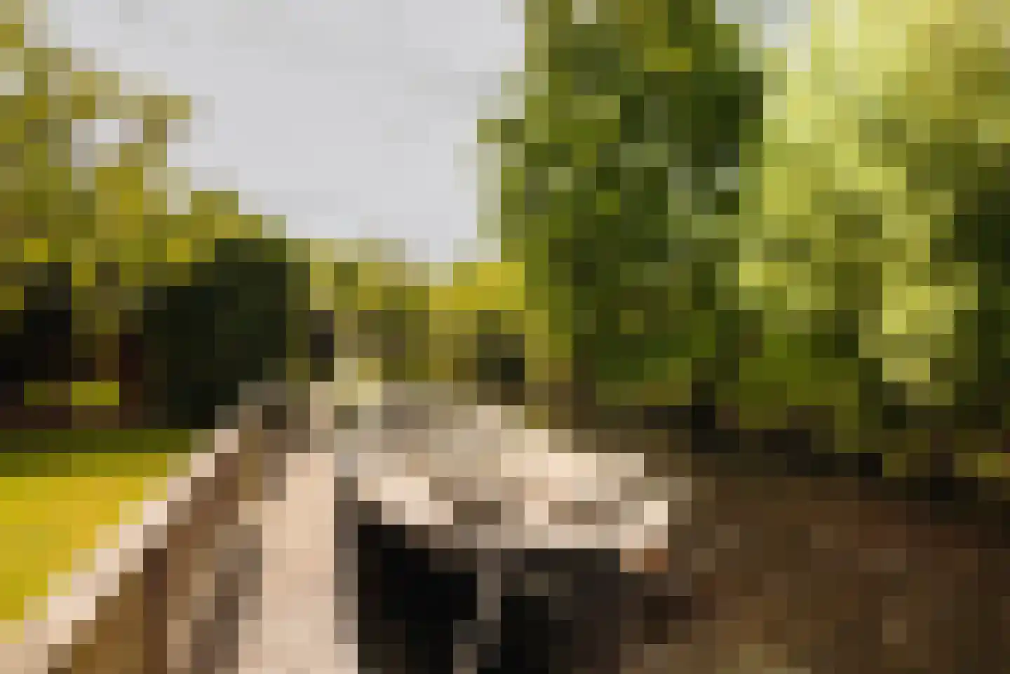 Vinkenkade 5 Vinkeveen thumbnail 15