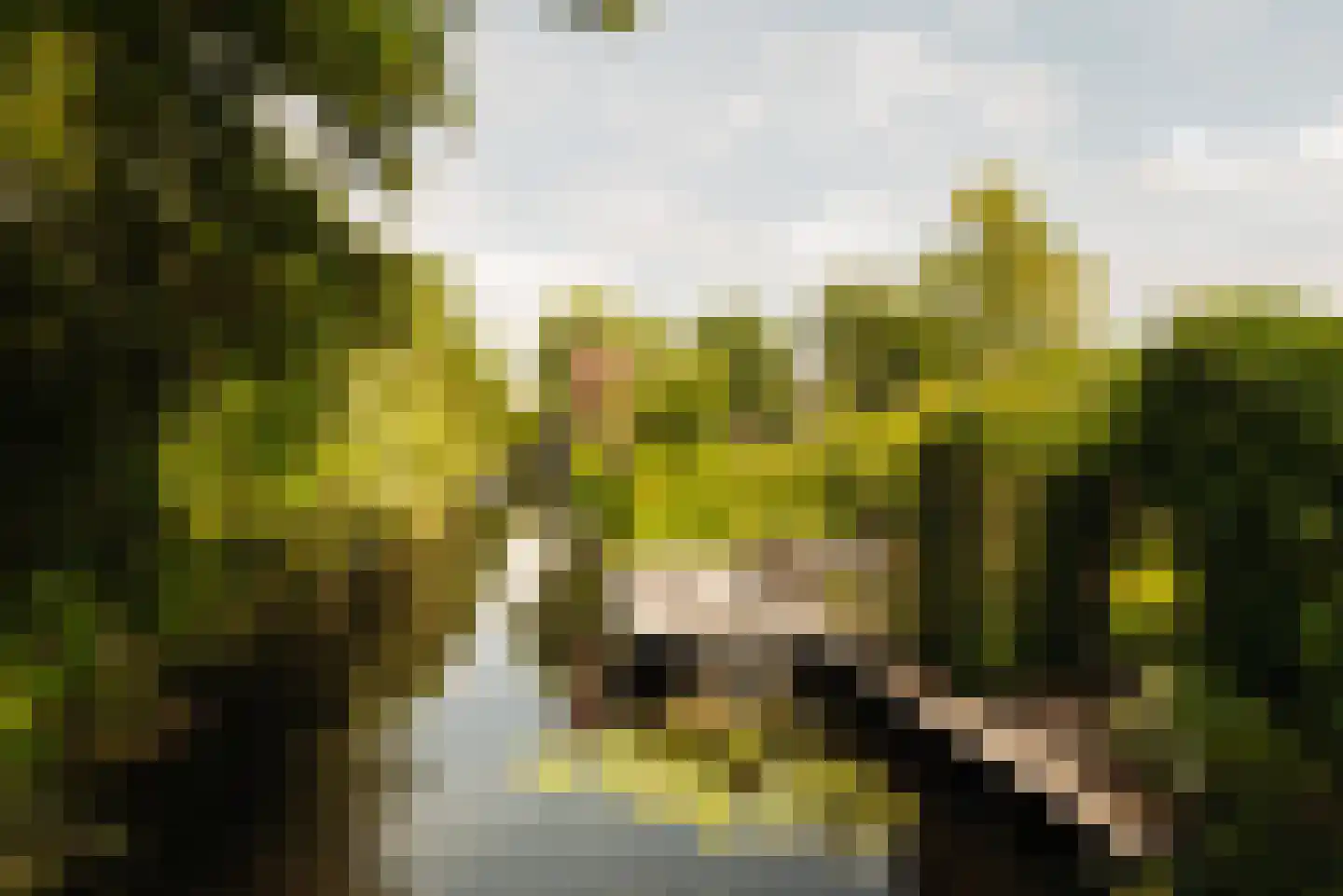 Vinkenkade 5 Vinkeveen thumbnail 16