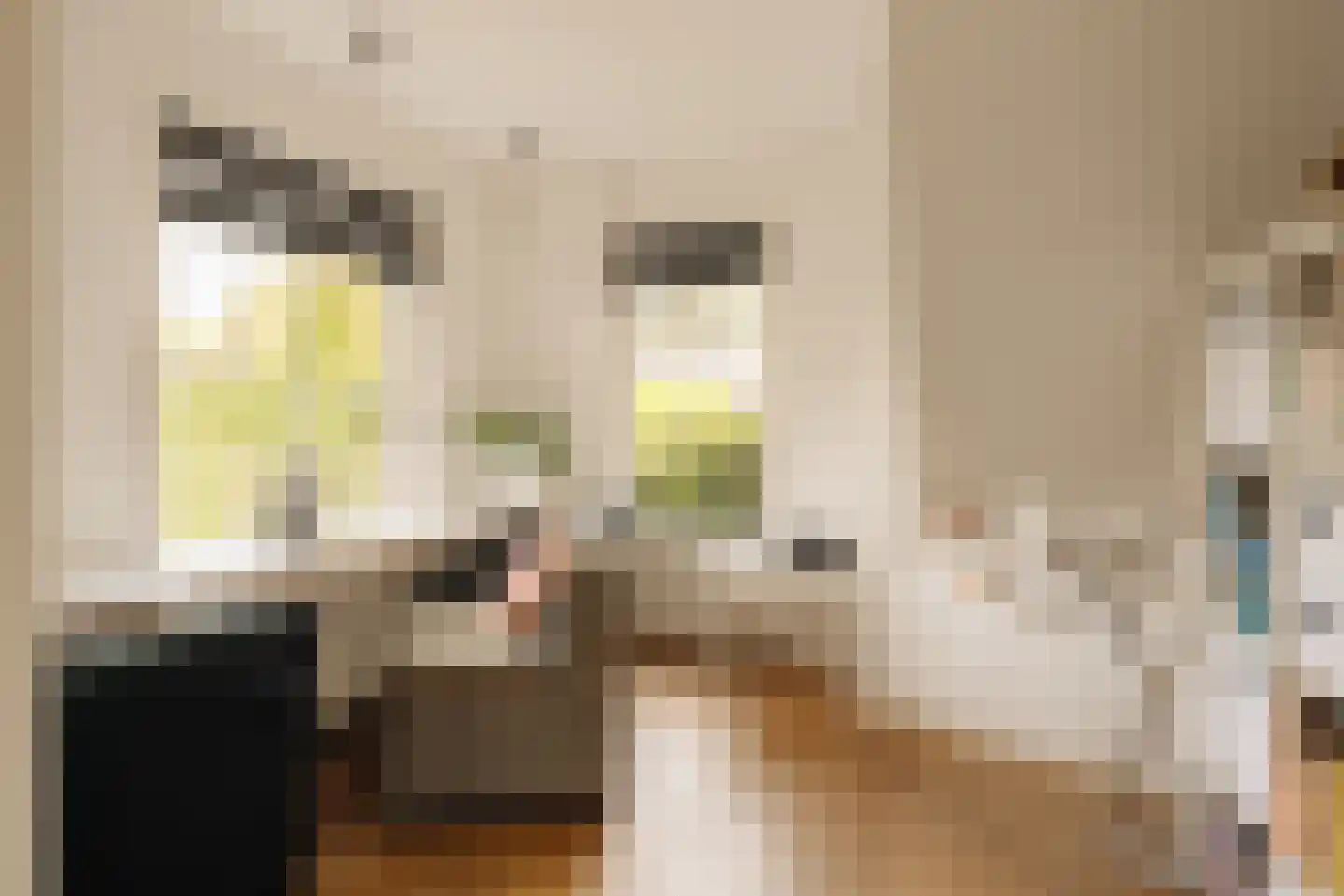 Vinkenkade 5 Vinkeveen thumbnail 20