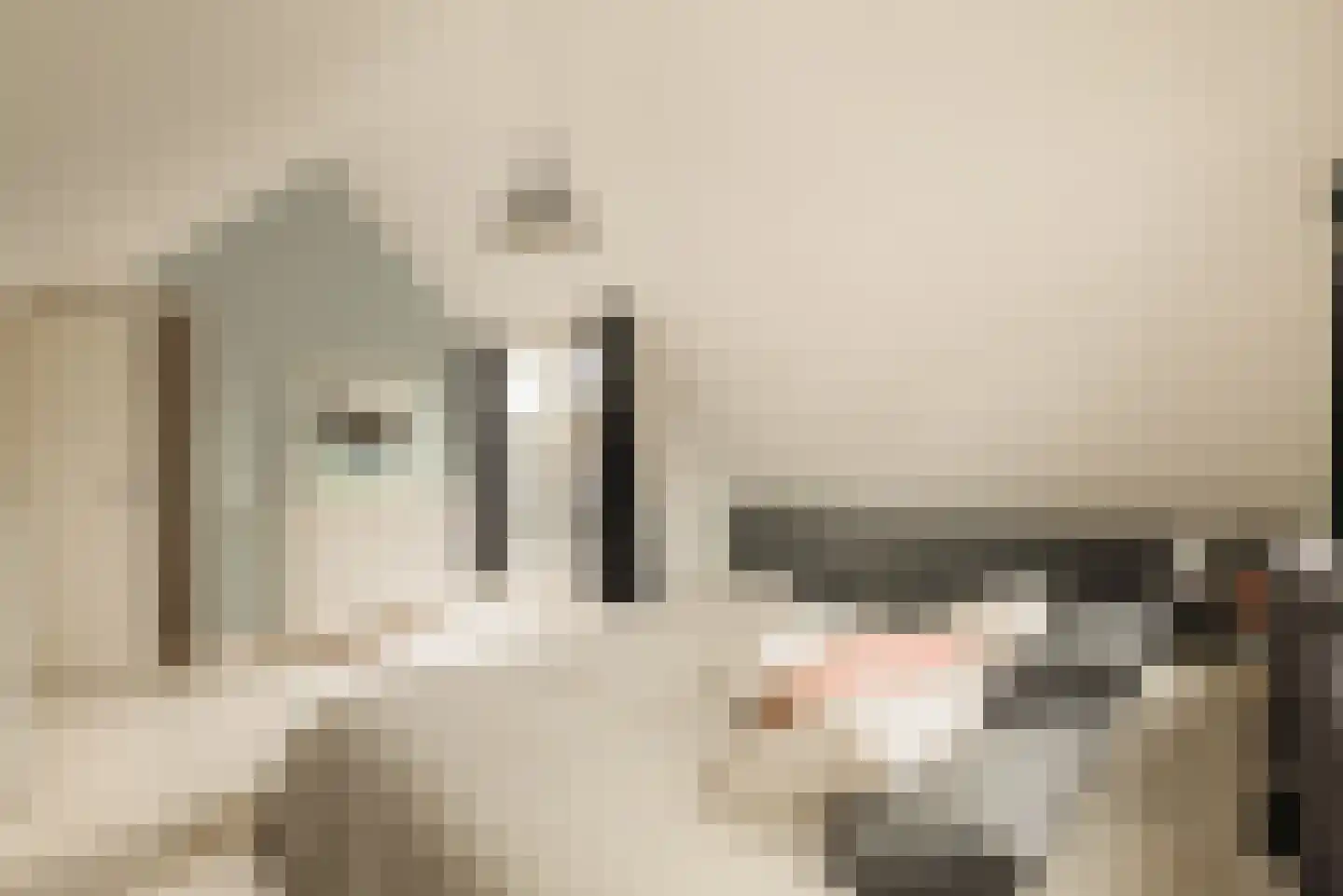 Vinkenkade 5 Vinkeveen thumbnail 27