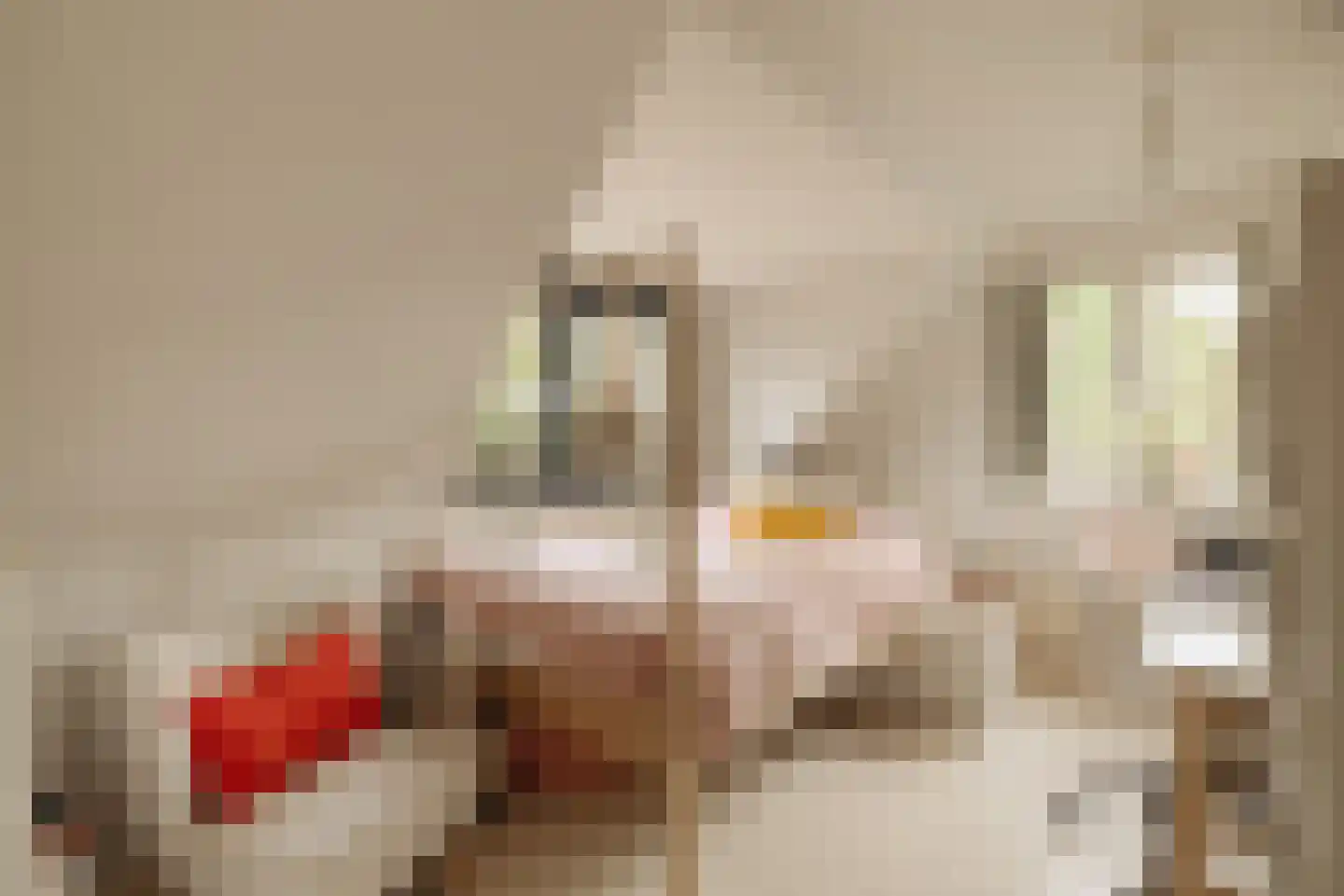 Vinkenkade 5 Vinkeveen thumbnail 28