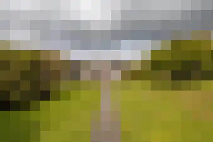 Vinkenkade 7 A Vinkeveen thumbnail 17