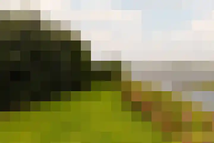 Vinkenkade 7 A Vinkeveen thumbnail 22