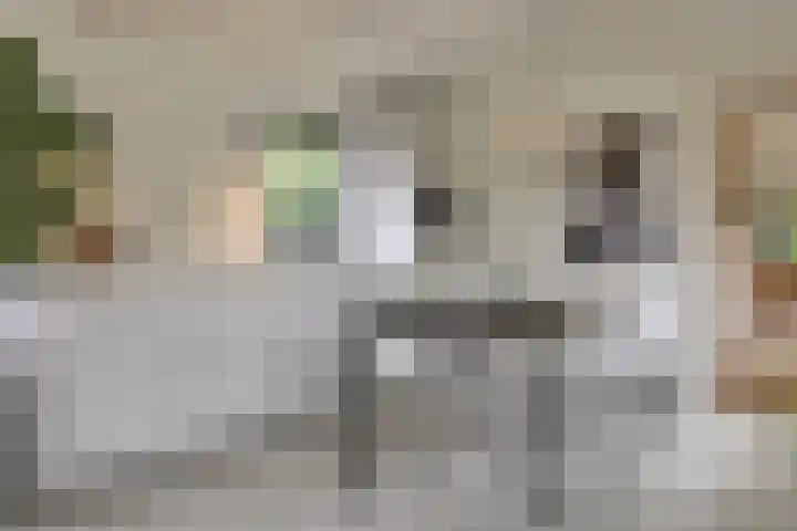 Vinkenkade 7 F Vinkeveen thumbnail 10