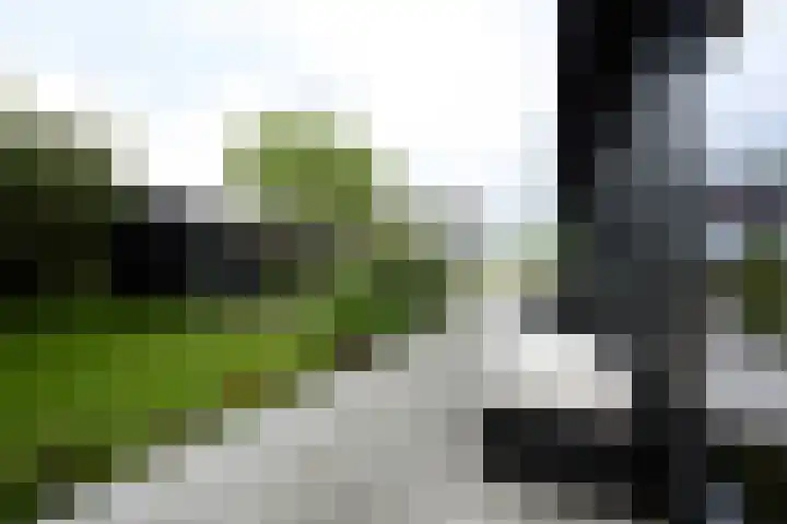 Vinkenkade 7 F Vinkeveen thumbnail 28