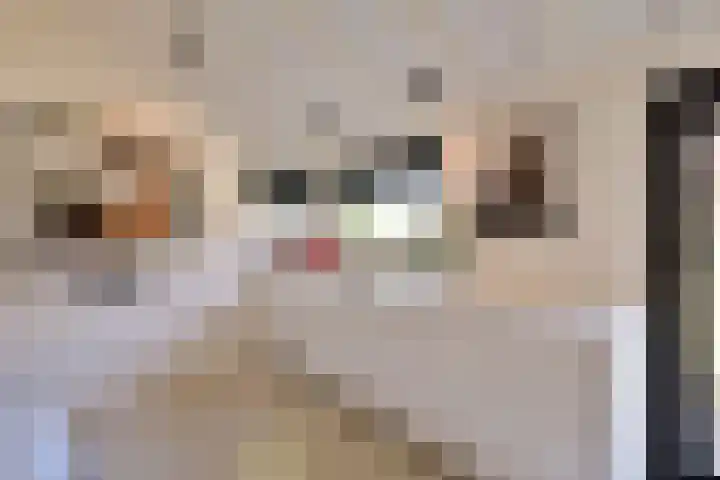 Vinkenkade 7 F Vinkeveen thumbnail 31