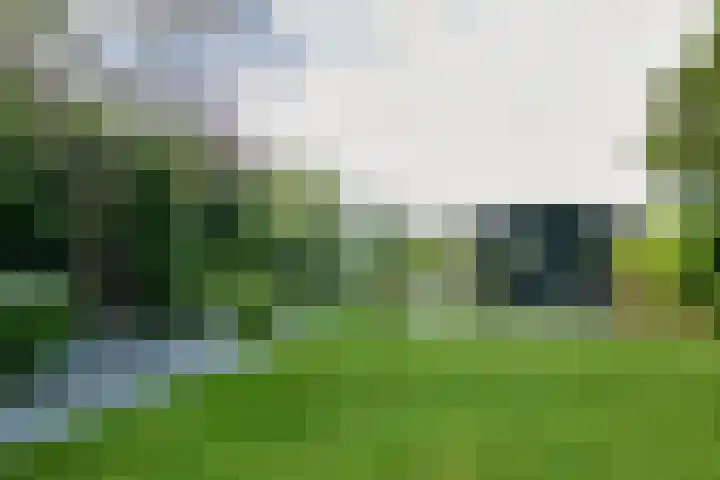 Vinkenkade 7 F Vinkeveen thumbnail 39