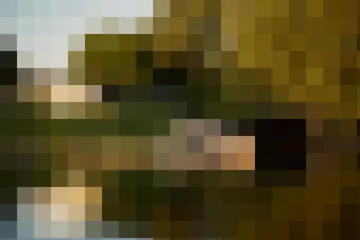 Vinkenkade 7 F Vinkeveen thumbnail 4