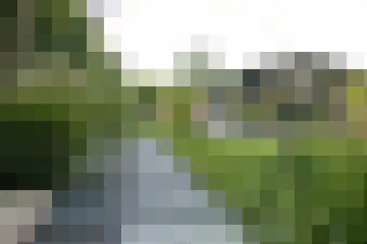 Vinkenkade 7 F Vinkeveen thumbnail 50