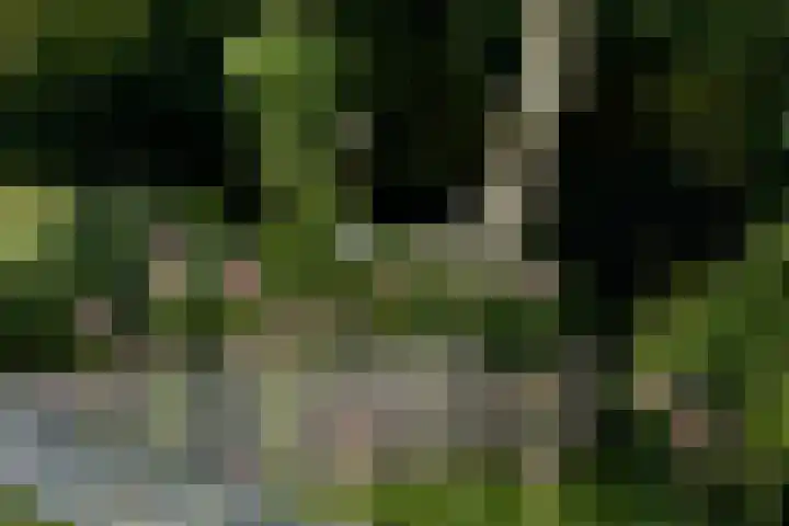 Vinkenkade 7 F Vinkeveen thumbnail 52