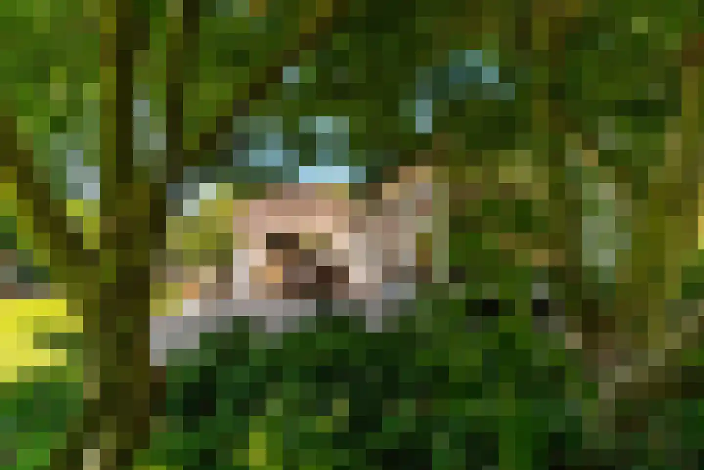 Vinkenkade 71 Vinkeveen thumbnail 13