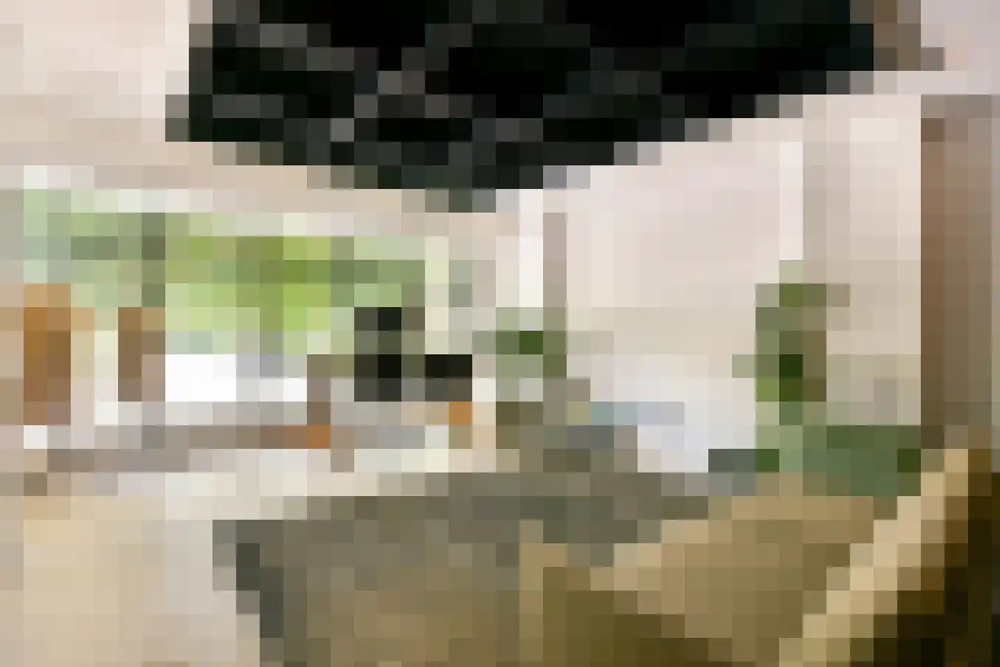 Vinkenkade 71 Vinkeveen thumbnail 17