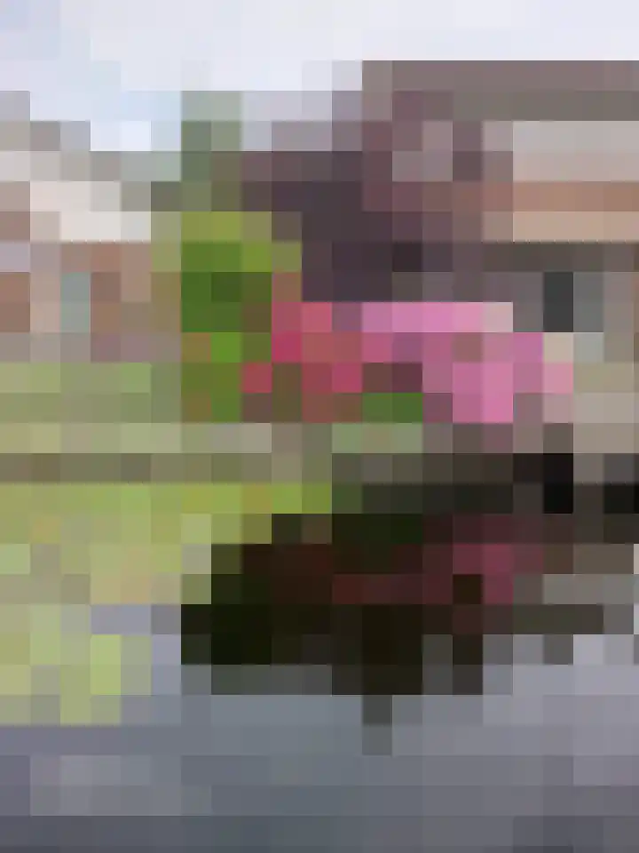 Vinkenkade 77 R 204 Vinkeveen thumbnail 29