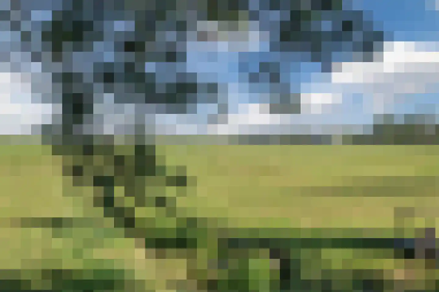 Vinkenkade 77 R 211 Vinkeveen thumbnail 34