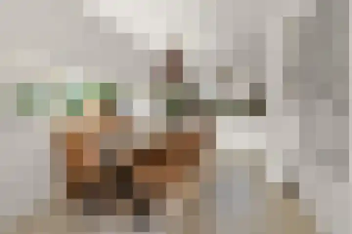 Vinkenkade 77 R 37 Vinkeveen thumbnail 10