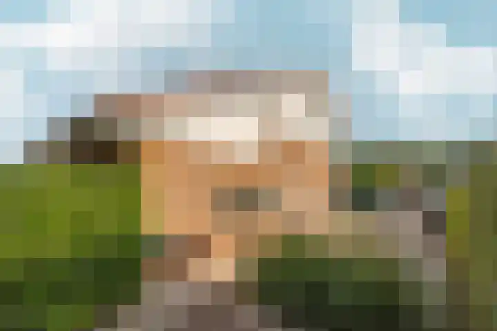 Vinkenkade 77 R 37 Vinkeveen thumbnail 20