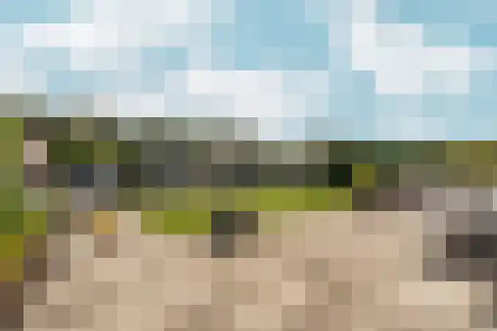 Vinkenkade 77 R 37 Vinkeveen thumbnail 21