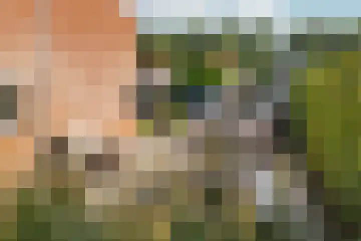 Vinkenkade 77 R 37 Vinkeveen thumbnail 23